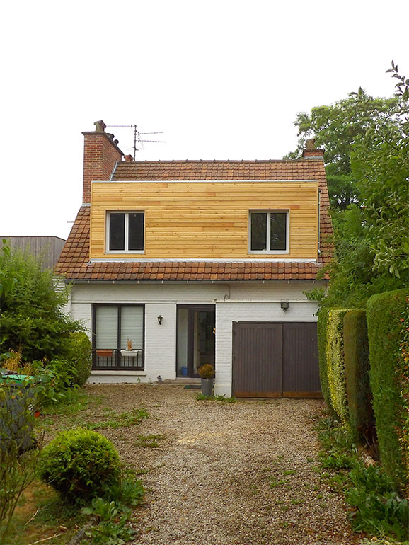 chien assis ambiance wood thomas rotteleur compagnon charpentier
