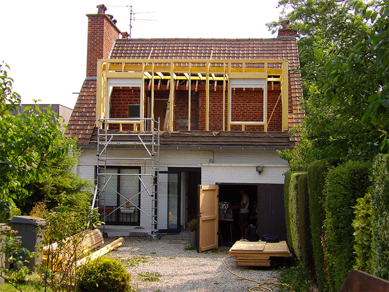 chien assis ambiance wood thomas rotteleur compagnon charpentier